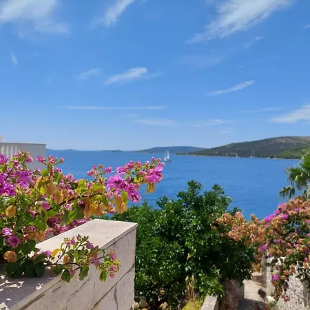 Oliva Seget Vranjica