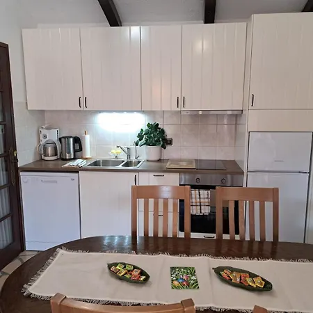 Apartment Oliva *