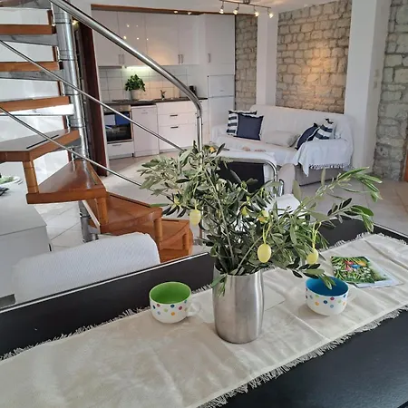 Oliva Seget Vranjica